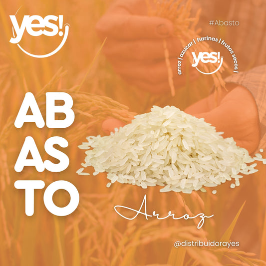 El Uso Correcto del Arroz: Características, Tipos y Consejos Útiles